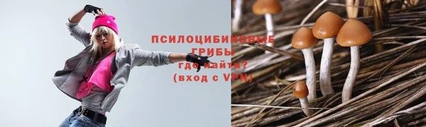 дурь Каменка