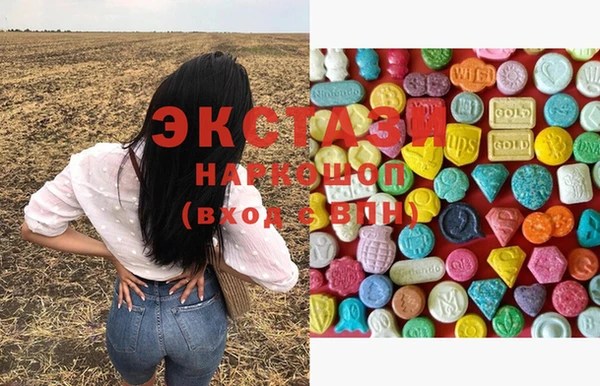 ECSTASY Инсар