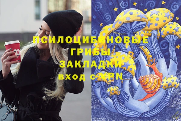 дурь Каменка