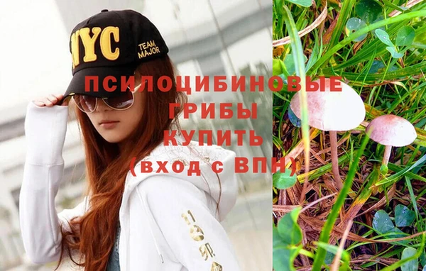 дурь Каменка